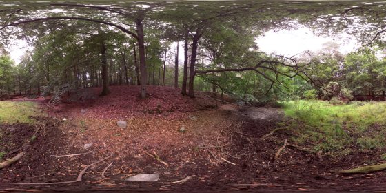 Play 'VR 360° - Digital Forest Lab Haselberg